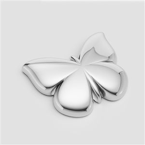 Charm 005